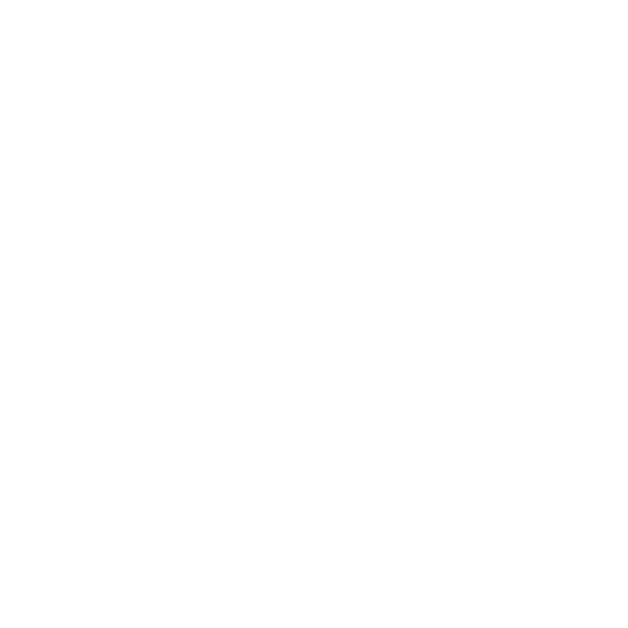 DNDR Logo